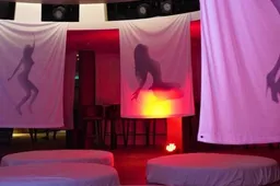 Dit gebeurt er in de red room van een ‘spicy’ cruise, speciaal voor het adult entertainment
