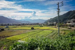 Japan is de onvergetelijke reis die iedereen een keer zou moeten maken: op trip door de Hokuriku regio