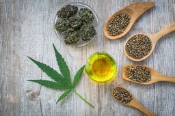 Jouw CBD-olie met dikke korting scoren? Check deze CBD-olie discounter