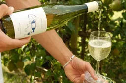 Art of the Refill gaat jouw wijnervaring naar een hoger niveau tillen