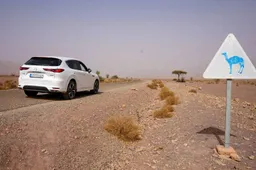 Goed voorbereid op roadtrip? Dit zijn handige praktische tips voor onderweg