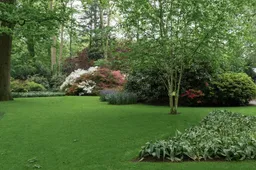 5 Tuinupgrades die elke man wil (en je buren groen van jaloezie maken)
