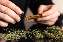Cannabis wordt steeds sterker en wetenschappers waarschuwen voor flinke risico’s