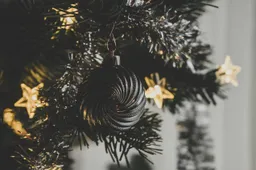 christmas-5861895_1280