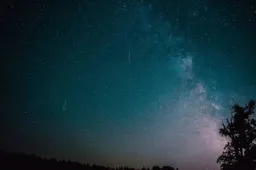 pexels-felix-kiss-568824727-18684136-693695965e1ee