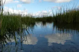 perkons-water-2470078