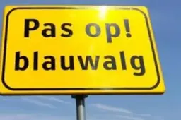 unyvby08o64lcyp12x7z7h75b-pas-op-voor-blauwalg-300x1681-6695af2061ae9