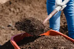 compostdag_1920_tmfq3y