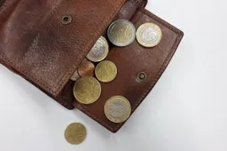 wallet-1359848_1280