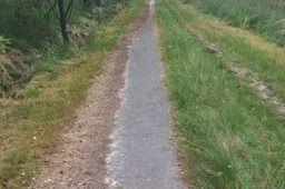 csm_2025-08-27_AC_GR_IF_Insta_Oude_fietspaden_weg_uit_Chaamse_Bossen_1867767692