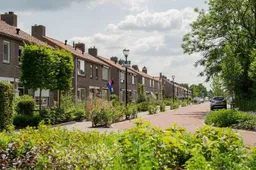 csm_2025-09-17_GR_beeld_groenbeleidsplan_ed8aefa513