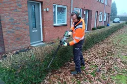 csm_2025-10-20_GR_beeld_groen_cb77281946