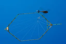 freshem_skytem_003_