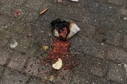 573100246_18141804619447388_6098677111559296965_n