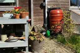 573549132_1242780677885874_2087521052639378039_n