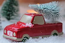 csm_2025-12-30_AC_BN_GR_beeld__kerstboom_5d6bd45973