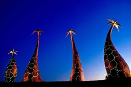 csm_screenshot_2025-12-09_945f265317