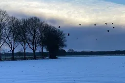 615215715_1299173478913260_39099685990810115_n