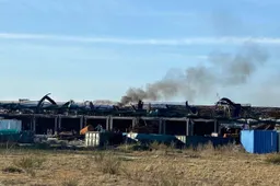 WhatsApp Image 2026-01-17 at 14.47.53