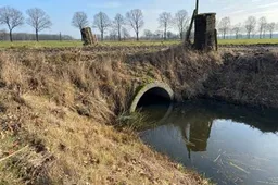 632017569_1323879669775974_5257503621548783630_n