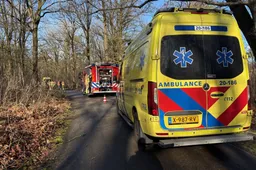 7b893c2f-dc46-4072-a5cc-3cbcb6312791