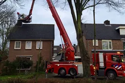 fc443a28-3625-4c82-9f12-4a5f8d0d5744