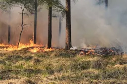 0ab0ba3b-8fe0-4238-82b8-bdebf8bda845 (1)