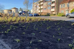 csm_2026-04-07_GR_beeld_Marga_Klompelaan_1_1__9ef4e8ca77