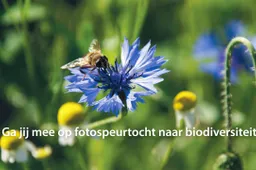 FOTOSPERURTOCHT BIODIVERSITEIT