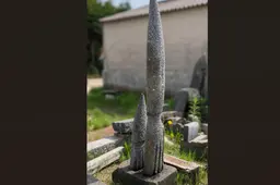 Schermafbeelding 2026-09-17 101831