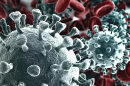 Coronavirus: LG Withdraws from MWC 2020 due to the Outbreak