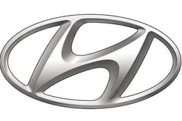 Hyundai Motor plans to invest $530 million to launch six electric vehicles in India