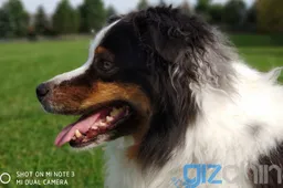 Xiaomi Mi Note 3 - A "Flagship Priced" Mid-range Device