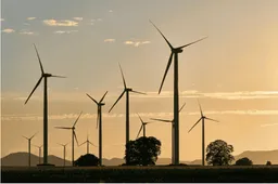 The Mango Power Solar Generator: Your Ultimate Portable Energy Solution