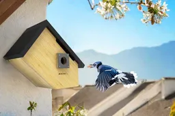 Capture Nature in 1080p: Discounted BIRDKISS Bird Feeders and Houses