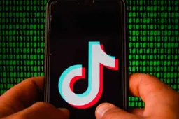 TikTok will allow some entities to review its algorithms and source code