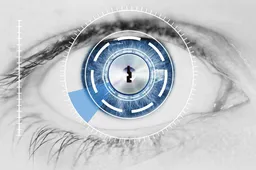 Looks like Vivo have confirmed Retina Scanner on the Vivo X5Pro