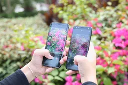 Camera comparison : Leagoo S8 vs Samsung Galaxy S8 Plus