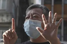 Zoom Was Requested To End Several Meetings of Chinese Activists And It Did!