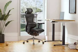 The Sihoo Doro-C300: The Epitome of Comfort for the Modern Sitter