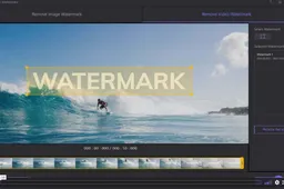 The best video watermark remover software of this year