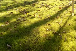 Check out Ulefone Be Touch 2's slow-motion capabilities