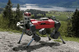 Top 3 locomotion development direction for robot dogs