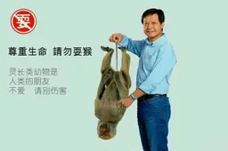 Xiaomi Mi 9 Has Sufficient Stocking, But It Takes Care of Both Online and Offline Platforms