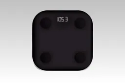 Amazfit Smart Scale: More details exposed by Zepp App