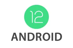 Android 12 Developer Preview Beta 1.1 fixes the WiFi disconnection problem