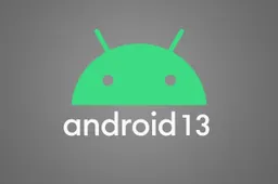 Google released the first version of Android 13