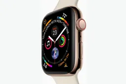 Apple dominated the wearable devices market in 2018
