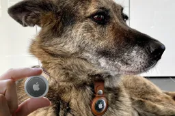 How safe is Apple Airtag around kids and pets? Pet swallows Airtag