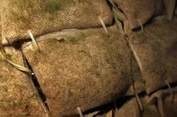 Beijing Design Graduate Lives in a 2 Meter Egg!